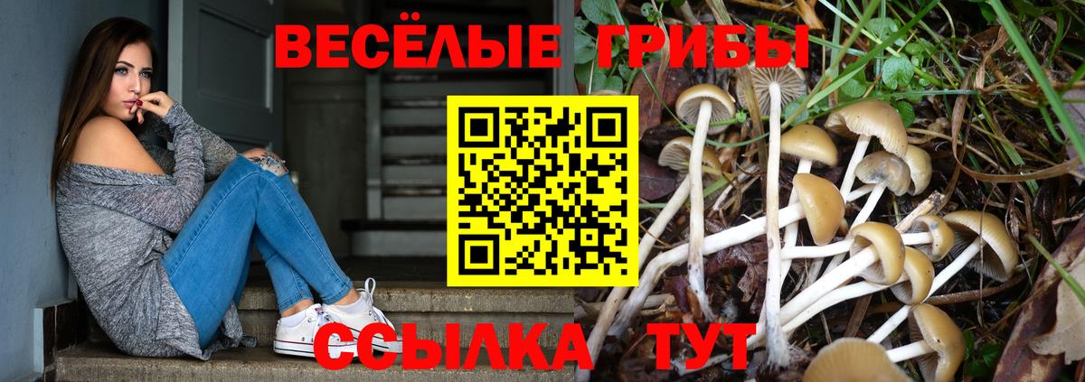 как найти закладки  Вход с VPN  Озёрск  Галлюциногенные грибы Magic Shrooms 
